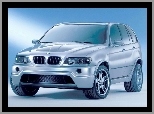 Bmw X5, Srebrny