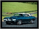 Pontiac Firebird, Cabriolet