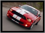 GT500, Ford Mustang, Shelby