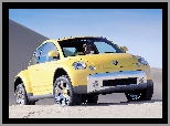 Volkswagen New Beetle