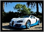 Bugatti Veyron, Palmy